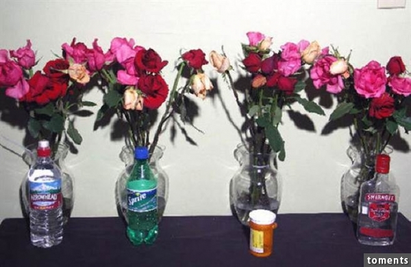 沒想到花朵竟然不開花也不凋謝(圖片取自dezinfo)