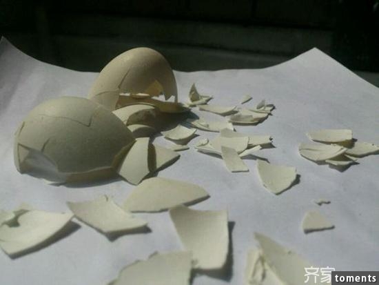 保洁阿姨才不會告訴你的廚房清潔“偏方” 有了它你都不用花錢了