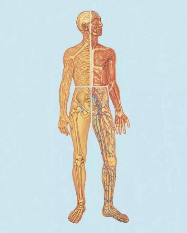 你一輩子的口水 可以灌滿兩座遊泳池？ 25個超獵奇「人體冷知識」！ 網：午餐吃不下惹...