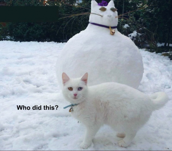 The cat that doesn't appreciate how fat his statue is.