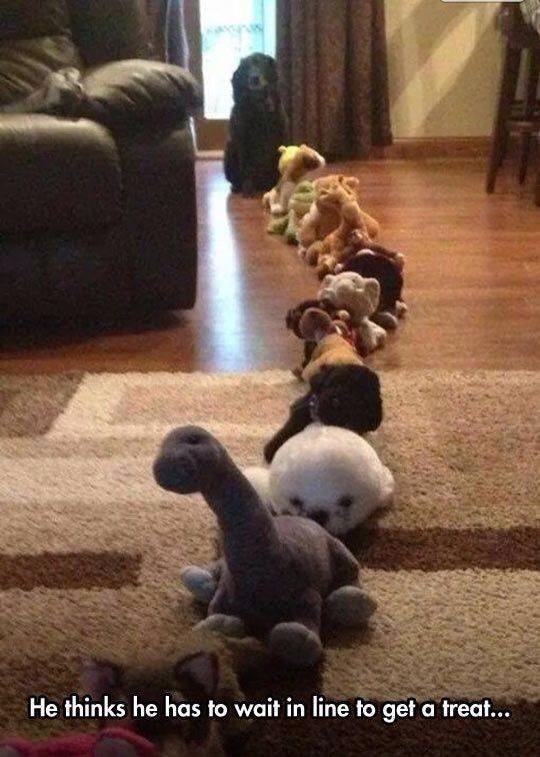 The dog that will be waiting here for awhile.