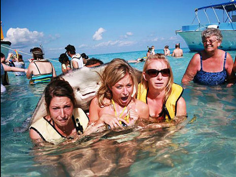This happy camper who was not actually invited to be in the photo.
