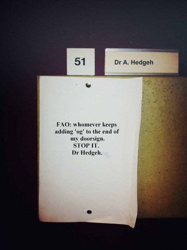 The time Doctor Hedgehog had enough.