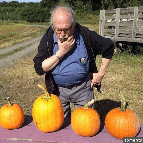 Pumpkins might be a male aphrodisiac.