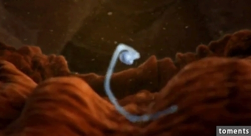 sperm animated GIF 