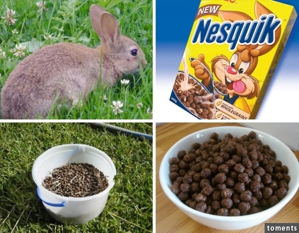 Nesquik Cereal Looks Like Rabbit Poop
