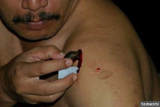 苗族養蠱人告訴你到底什麼是「蠱」!