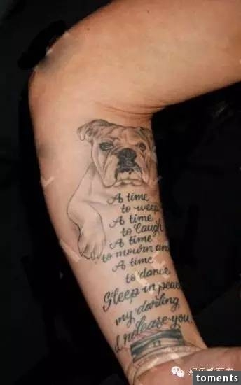 明星身上的紋身,其實隱藏了不可告人的秘密!王菲,謝霆鋒,,張柏芝,貝克漢姆…