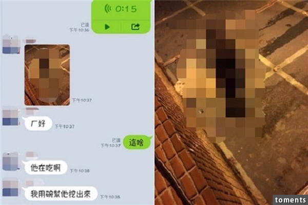 男友傳來的照片太驚悚...女身狗頭 網友：毛毛的．．．