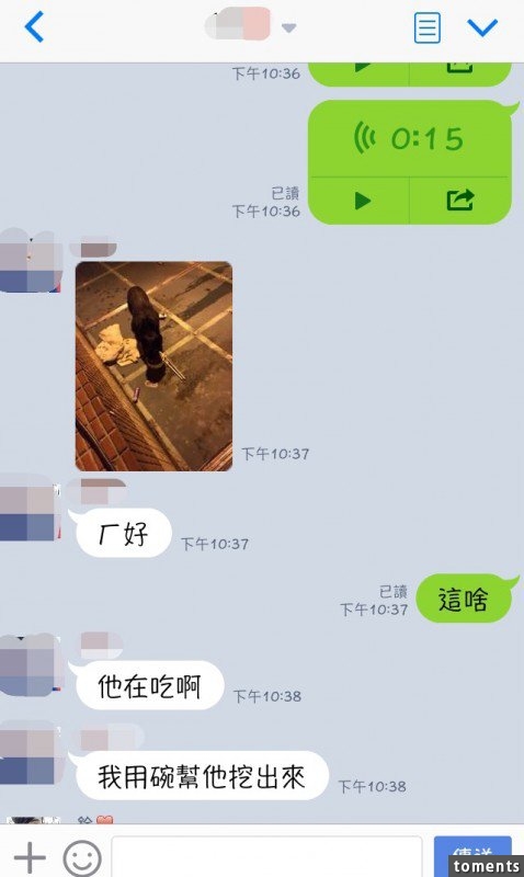 男友傳來的照片太驚悚...女身狗頭 網友：毛毛的．．．