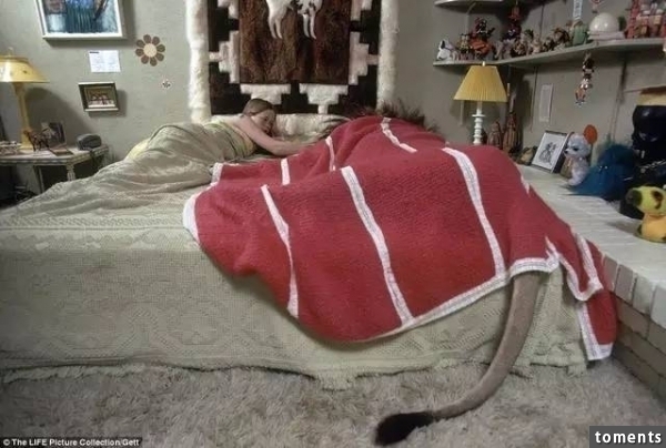 和獅子一起生活？揭露照片背後的殘酷真相...他們一家人後悔也來不及了！！！