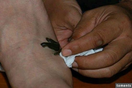 苗族養蠱人告訴你到底什麼是「蠱」!