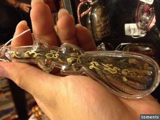 苗族養蠱人告訴你到底什麼是「蠱」!