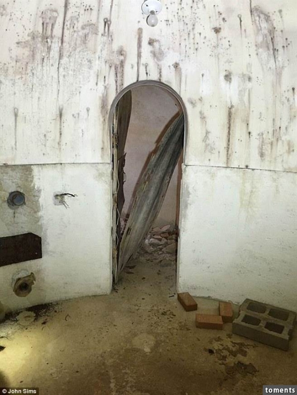 男子發現有東西藏在自家後院 打開後驚呆了