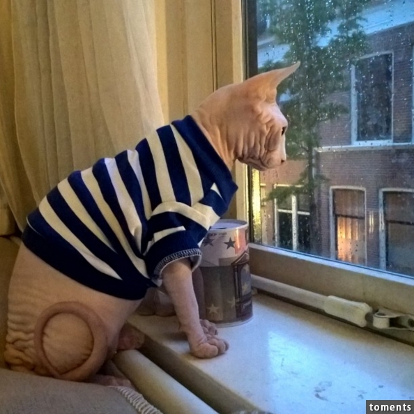 Nautical stripes are always in season.