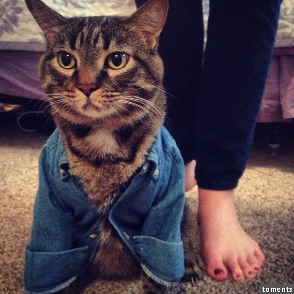 When in doubt: denim.