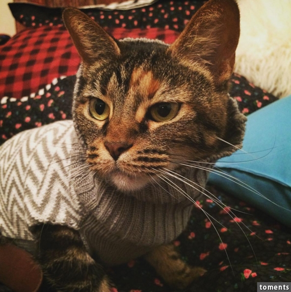 Turtlenecks are so in this season.