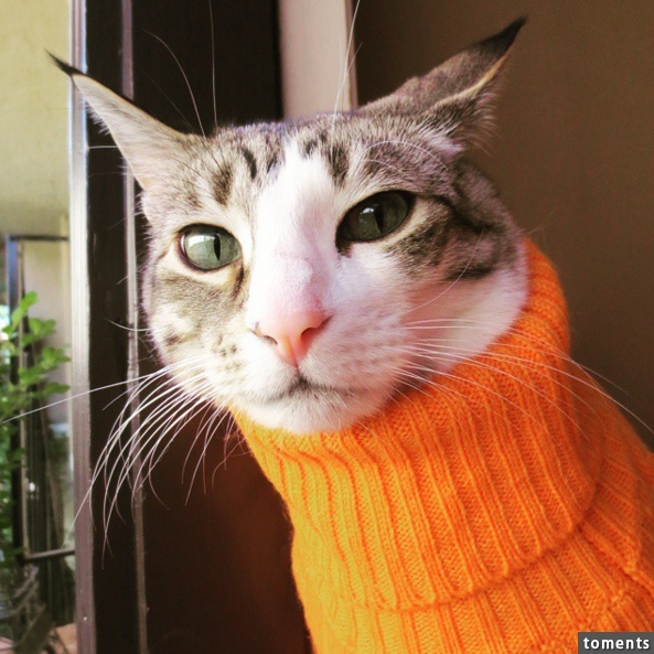 Seriously, it's all about turtlenecks.