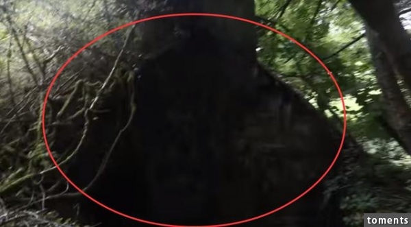 男子在山裡狩獵無意中發現一個山洞，進去之後嚇壞了！