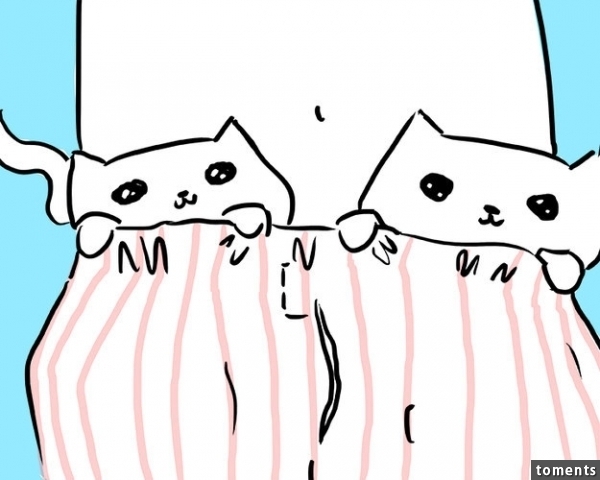 Oder noch besser, verstecke ein paar echte Katzen in deinen Boxershorts und sorge so für eine nette Überraschung.