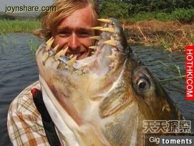 全世界11種神秘食人水獸...你絕對沒見過！ 最後一個也太可怕！