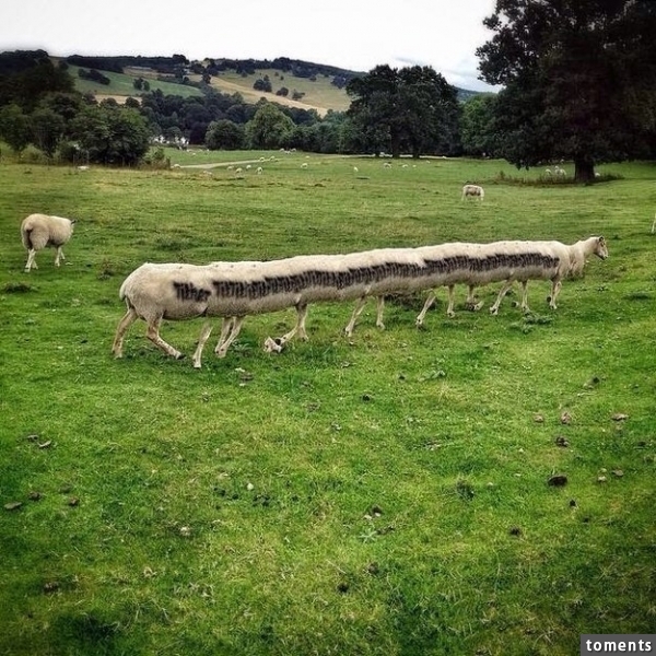 Dieser Teufels-Bock: