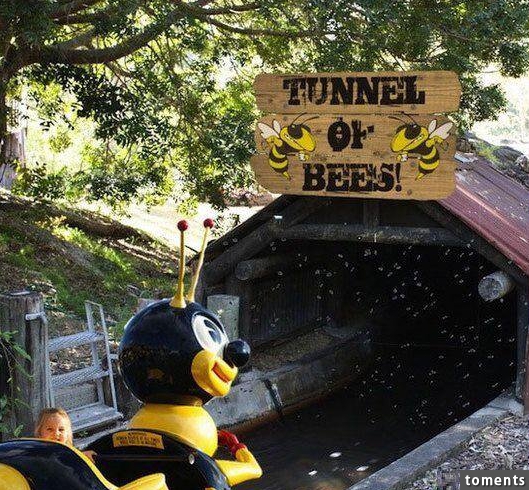 Dieses kleine Mädchen, deren Eltern dachten, ein Tunnel voller Bienen sei eine super Attraktion.