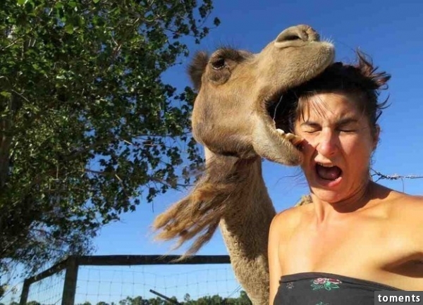 Die Frau, die schon fast ihr Selfie hatte, als das passierte.