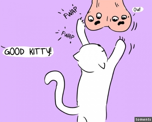 Foster a kitten.