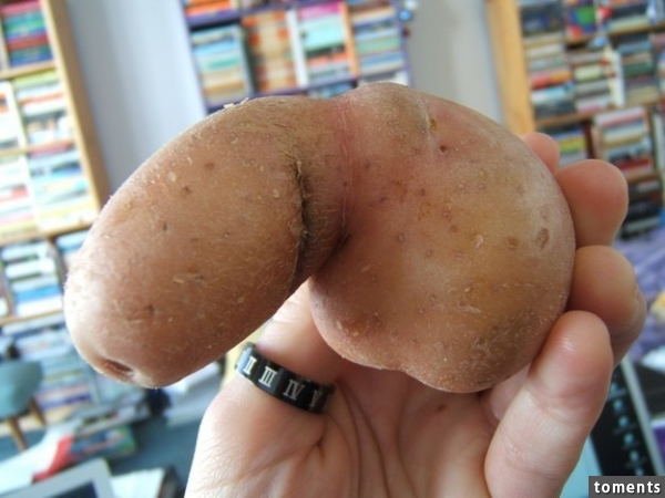 Das ist nur eine Kartoffel: