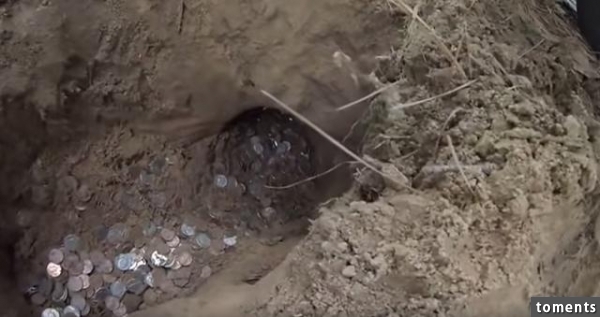 他們提著一個儀器在樹林中來回走最終發現的東西令他們驚訝不已