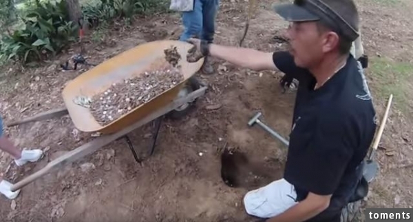 他們提著一個儀器在樹林中來回走最終發現的東西令他們驚訝不已