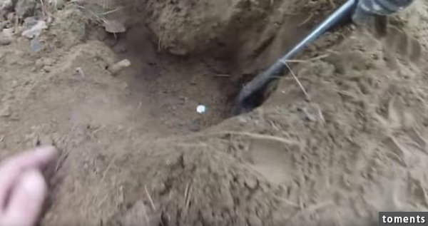 他們提著一個儀器在樹林中來回走最終發現的東西令他們驚訝不已