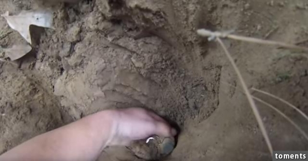 他們提著一個儀器在樹林中來回走最終發現的東西令他們驚訝不已