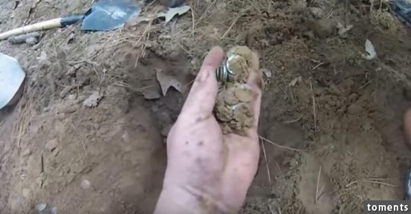 他們提著一個儀器在樹林中來回走最終發現的東西令他們驚訝不已