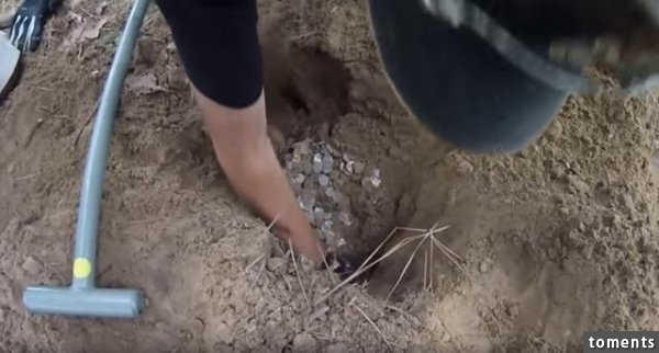 他們提著一個儀器在樹林中來回走最終發現的東西令他們驚訝不已