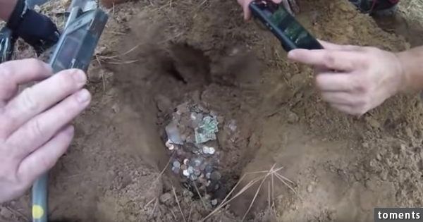 他們提著一個儀器在樹林中來回走最終發現的東西令他們驚訝不已