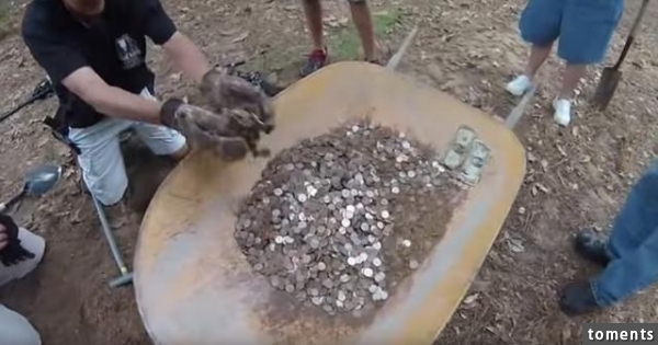 他們提著一個儀器在樹林中來回走最終發現的東西令他們驚訝不已