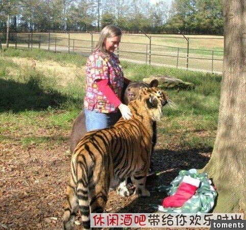 毒梟買下三隻猛獸想看他們自相殘殺，最後的結果讓你想像不到