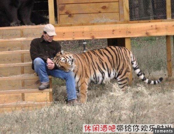 毒梟買下三隻猛獸想看他們自相殘殺，最後的結果讓你想像不到