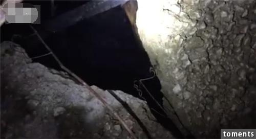 黑夜突然出現一隻大黑狗不停地朝他們叫，跟過去竟看到意外的驚喜