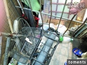 15歲女孩因不戴套OO男友的一句話，狠心地把剛出生的親生嬰兒從5樓扔下！！！連男友也。。。太殘忍了！！