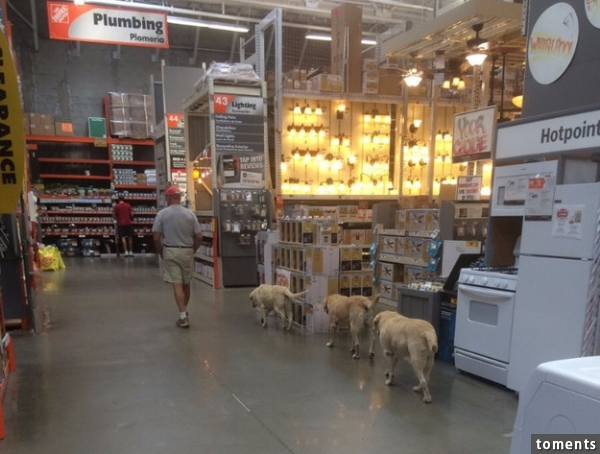 This bro who never goes to Home Depot without his dawgs: