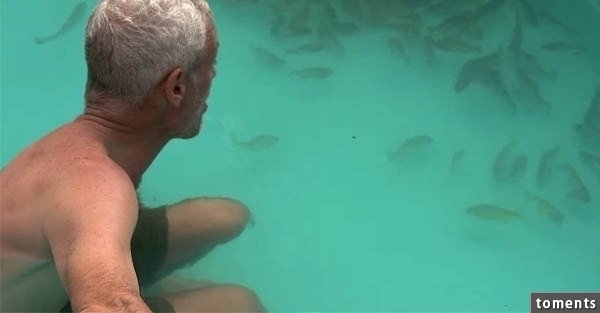 為了證明食人魚會不會胡亂攻擊人，主持人竟然脫光躺進食人魚池…結果嚇死人