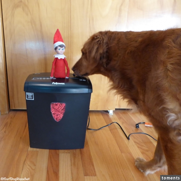 Who Unplugged The Suggestion Box?
