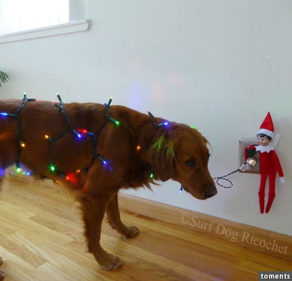 No Animals Were Harmed In Making Of This Photo