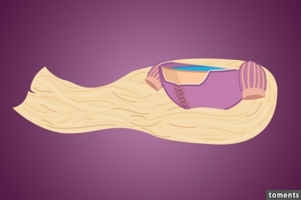 Rapunzel