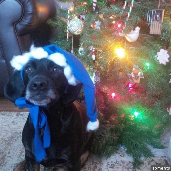 "I should get at least 4 early presents because of this hat."
