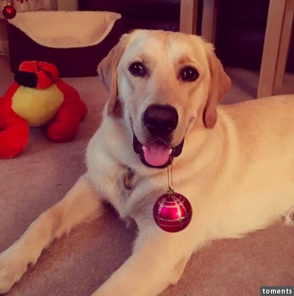 "I'll be straight with you, Phillip. I opened my present and I love it. I've always wanted this kind of pendant."