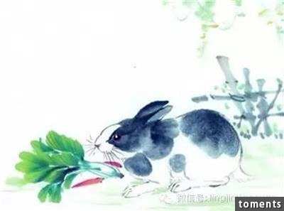 此生要一直辛苦賺錢的「勞碌生肖」，希望榜上沒你！